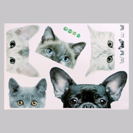 Stick 3D Interior pets 57*42cm