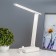 Board lamp "ERA" LED 8W 3000K-6000K Dimmer 2 rosett 2xUSB2.0 White 10x28x33cm RISALUX 9468