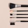 A set of makeup brushes "Compact", 5 items, a case with a mirror, black color