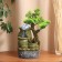Arden Fountain 29x14 cm (with backlight)