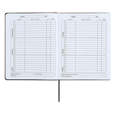 Universal diary for grades 1-11 "strip", solid cover of artificial leather, silkography, lies, 48 ​​sheets, black+blue-6