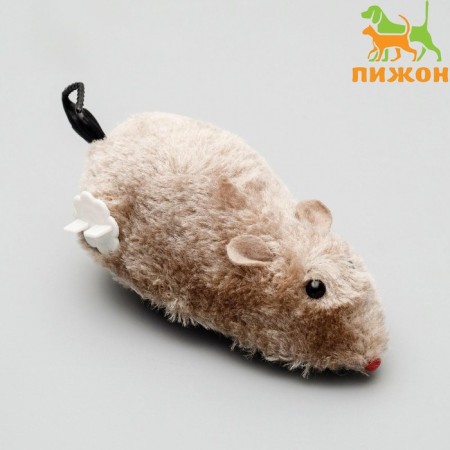 Cavaling fur mouse, 12 cm, gray