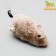 Cavaling fur mouse, 12 cm, gray