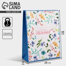 Gift laminated package, packaging, Best Wishes, L 28 x 38 x 9 cm