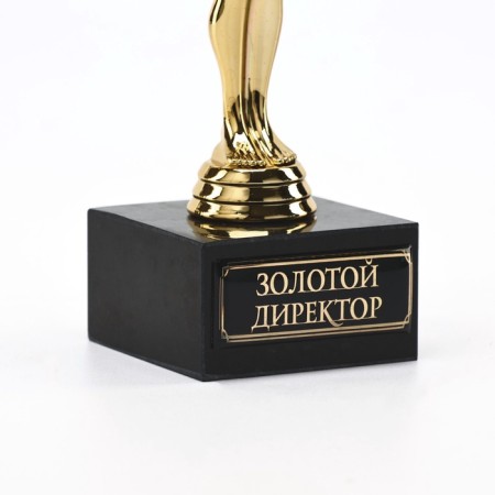 Golden Director Award Figure, Oscar, Plastic, Star, 18 x 6 cm-4