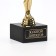 Golden Director Award Figure, Oscar, Plastic, Star, 18 x 6 cm
