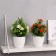 Bonsai in the pot "Feasted flower garden" 9x21 cm, mix