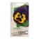 Viola seeds "Baron purple", F1, 5 pcs.
