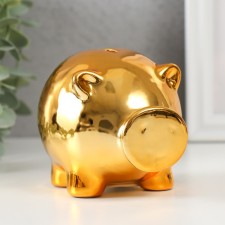 Pig a piggy bank Ceramics 