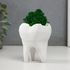 Concrete Kashpo 