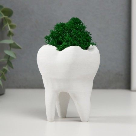 Concrete Kashpo "tooth" with moss white 7.5x6.5x9.5 cm (moss green stabilized)