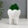 Concrete Kashpo "tooth" with moss white 7.5x6.5x9.5 cm (moss green stabilized)