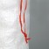 A bag for the harvest, polypropylene, 50 × 90 cm, 50 kg, transparent, with ties