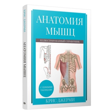 Muscle anatomy: illustrated reference. Jermy K.