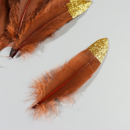 A set of goose feathers 15-20 cm, 10 pcs, brown with golden crumb-2