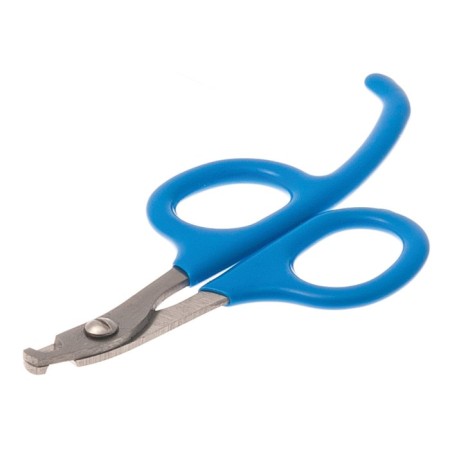 Delight Coogerez, Small, with emphasis, 19.9 cm, blue