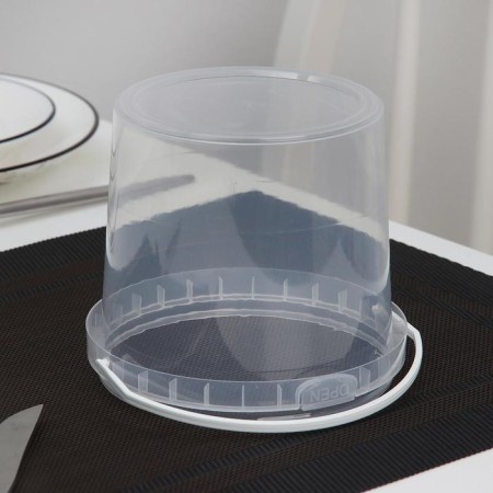 The plastic disposable container, 1 l, the color is transparent-2