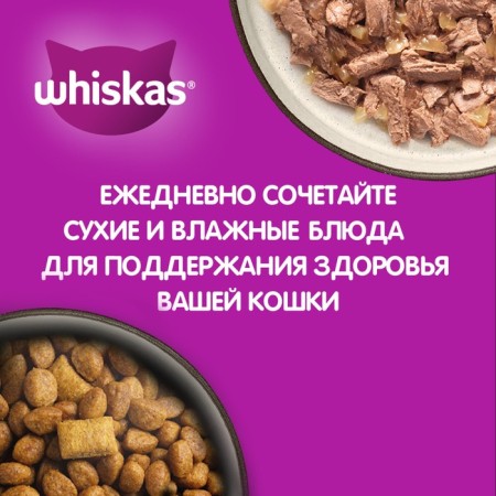 WHENSHIC FORM WHISKAS for cats, stew with chicken, 75 g-6