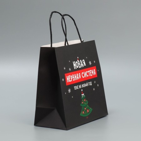 Package gift craft "Nerves", 22 x 22 x 11 cm, new year-2