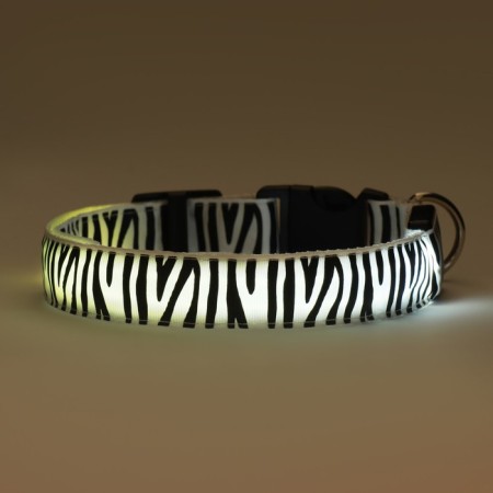 Collar with backlighting zebra 3 glow mode size XL, Osh 60-70 x 2.5 cm white-3