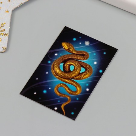 Cardboard "Golden Snake" 4x6 cm-1