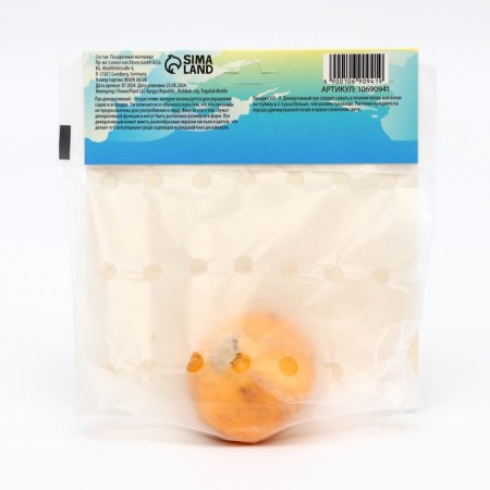Allium onion decorative stem, rr 20/22, 1 pc, autumn 2024-1