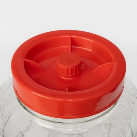 Glass jar with a hole for a water plant, 12 liters-5
