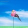 Plug for indoor plants "Bird" 3x3cm, 8cm mix / packing 12pcs, price per pcs