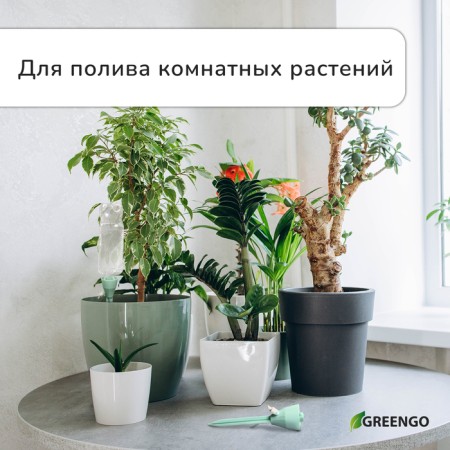 Auto -polyove for indoor plants, under a bottle, adjustable, with a tap, of plastic, height 17.5 cm, mix, Greengo-1