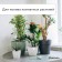 Auto -polyove for indoor plants, under a bottle, adjustable, with a tap, of plastic, height 17.5 cm, mix, Greengo