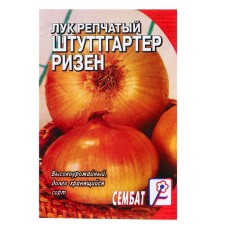 Onions on onion 