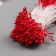 Stamens for artificial flowers gloss "risinki" Red set 360 pcs length 6 cm