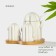 Porcelain set for spices on a bamboo stand Bellatenero "Cacti", 12 × 12.5 × 10 cm, white color