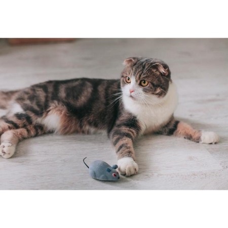 Clockwork mouse, 7 cm, gray-7