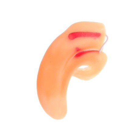 Nose on an elastic band, humpbacked-1