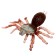 Toy Truck "Spider" with silicone paws, mix in package
