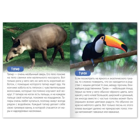 A set of training books “We learn together. Animals of our planet ”, 4 pcs. 20 p.-4