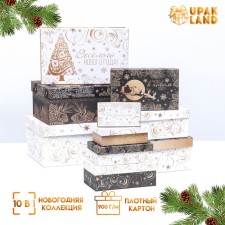 A set of boxes 10 in 1 