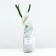 Seedling rose Chato de Cheverny, 1 pc, spring 2024
