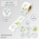Stick Paper "Watercolor. Plants" d = 2.5 cm 252 pcs in the roll