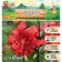 Lilia Tiger "Red Life", rr 12/14, 2 pcs, spring 2024