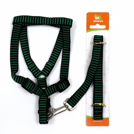 Acunition set is embossed, leash 120 x 1.5 cm, OG 36-49 cm, green-black-6