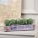 Garland “thread” 2 m with nozzles “frog”, ip20, transparent thread, 10 LED, glow warm white, AAH2