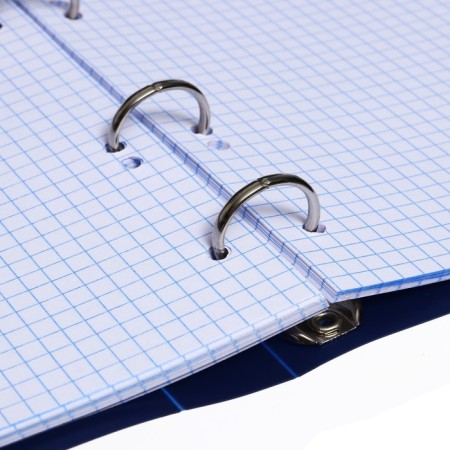 Notebook on rings A5 80 sheets in Calligrata cage blue, plastic cover, offset unit-6