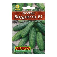 Cucumber seeds 