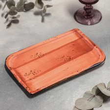 Блюдо фарфоровое прямоугольное «Латерит», 24×15 см, цвет оранжевый