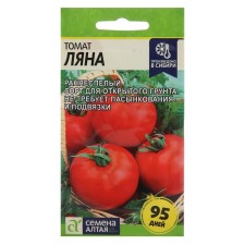 Seeds Tomat 