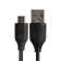 EXPLOYD EX-Z-1432, 2 USB, 2.4 A, MicroUSB cable, black