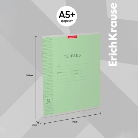 Notebook 12 sheets in a frequent slant, erichkrause "Classic", cover coated cardboard, block offlet, whiteness 100%, green-2