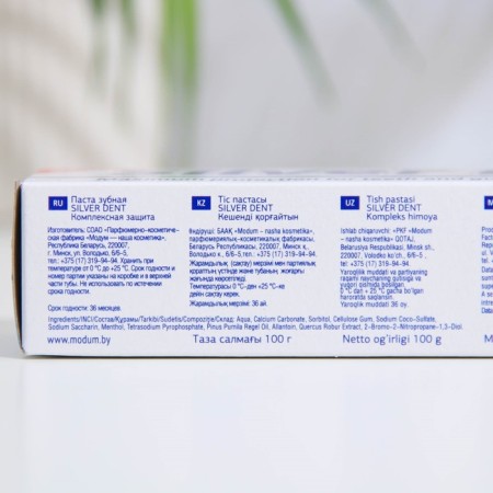 Silver dent toothpaste Complex protection, 100 g-3